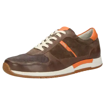 Sioux schoenen heren Rodon sneaker bruin 34852 voor 79,95 € 