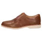 Sioux schoenen heren Herlof-702-XL Brogues bruin 34961 voor 119,95 € 