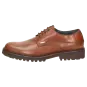 Sioux schoenen heren Quendron-701-TEX Brogues bruin 35402 voor 109,95 € 