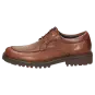 Sioux schoenen heren Quendron-702-TEX Brogues bruin 35411 voor 129,95 € 