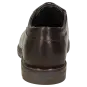 Sioux schoenen heren Dionigo-XL Brogues bruin 35481 voor 94,95 € 