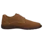 Sioux schoenen heren Elgero Brogues bruin 34862 voor 79,95 € 