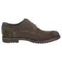 Sioux schoenen heren Encanio-701 Brogues bruin 35633 voor 99,95 € 