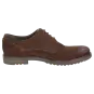 Sioux schoenen heren Encanio-701 Brogues bruin 35635 voor 99,95 € 