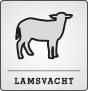 Lamsvacht